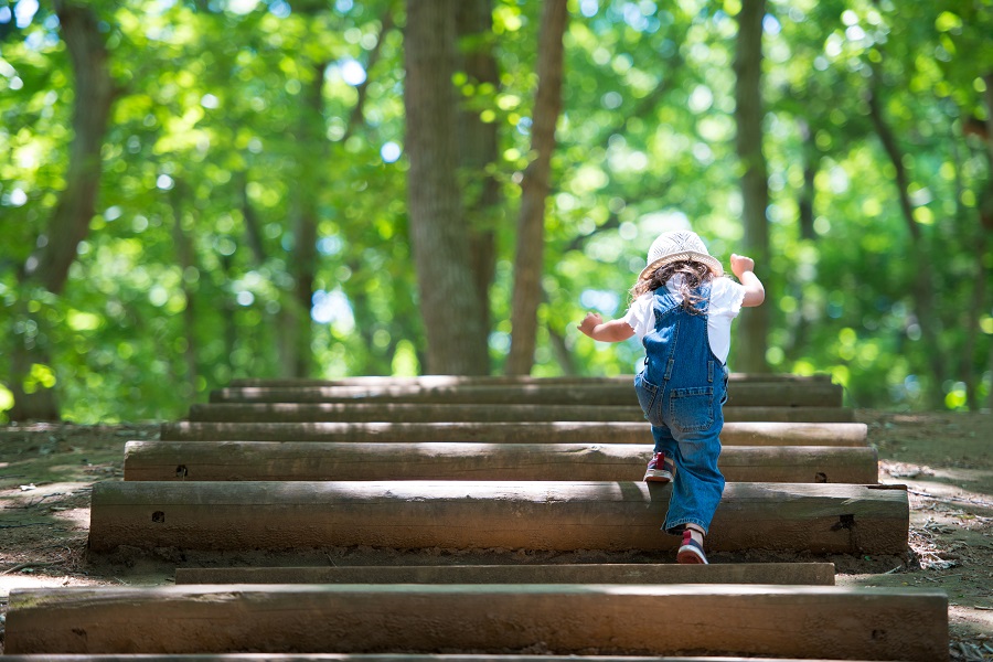 child in the woods alone during a divorce